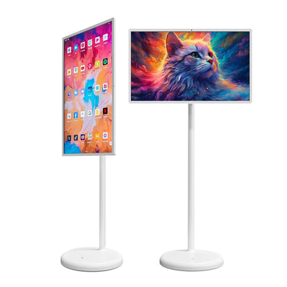 Mobile TV 27inches